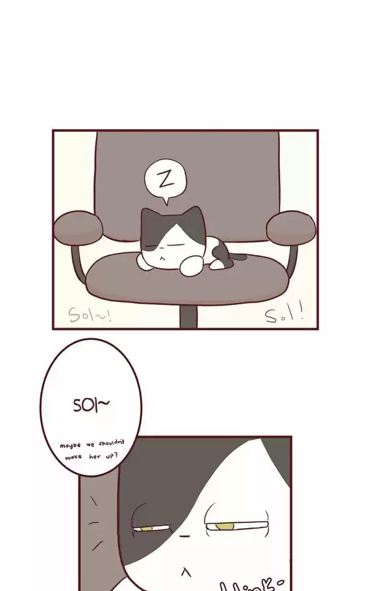 Saphie: The One-Eyed Cat 50