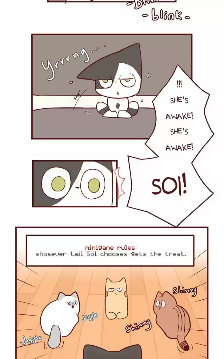 Saphie: The One-Eyed Cat 50