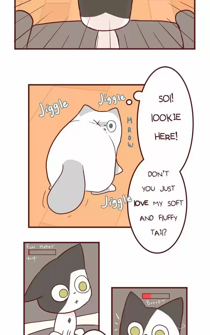 Saphie: The One-Eyed Cat 50