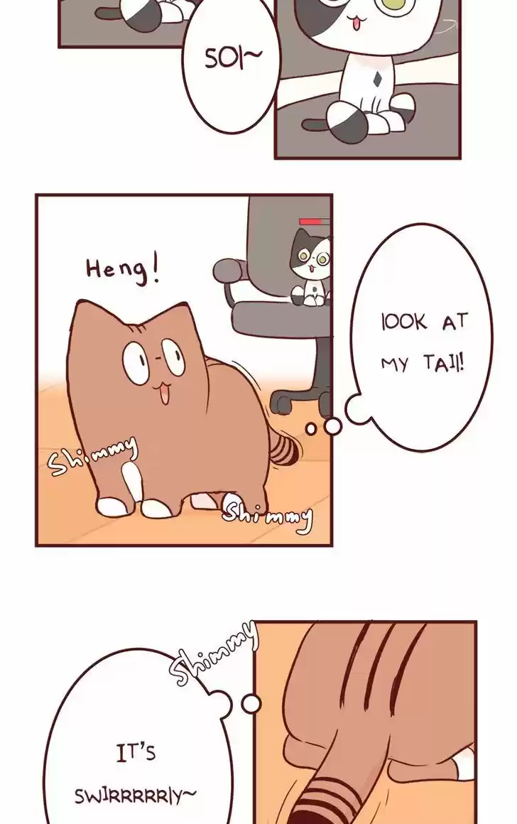 Saphie: The One-Eyed Cat 50