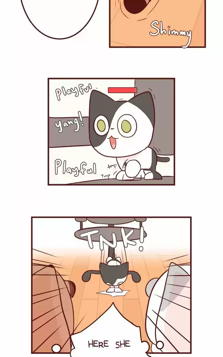 Saphie: The One-Eyed Cat 50