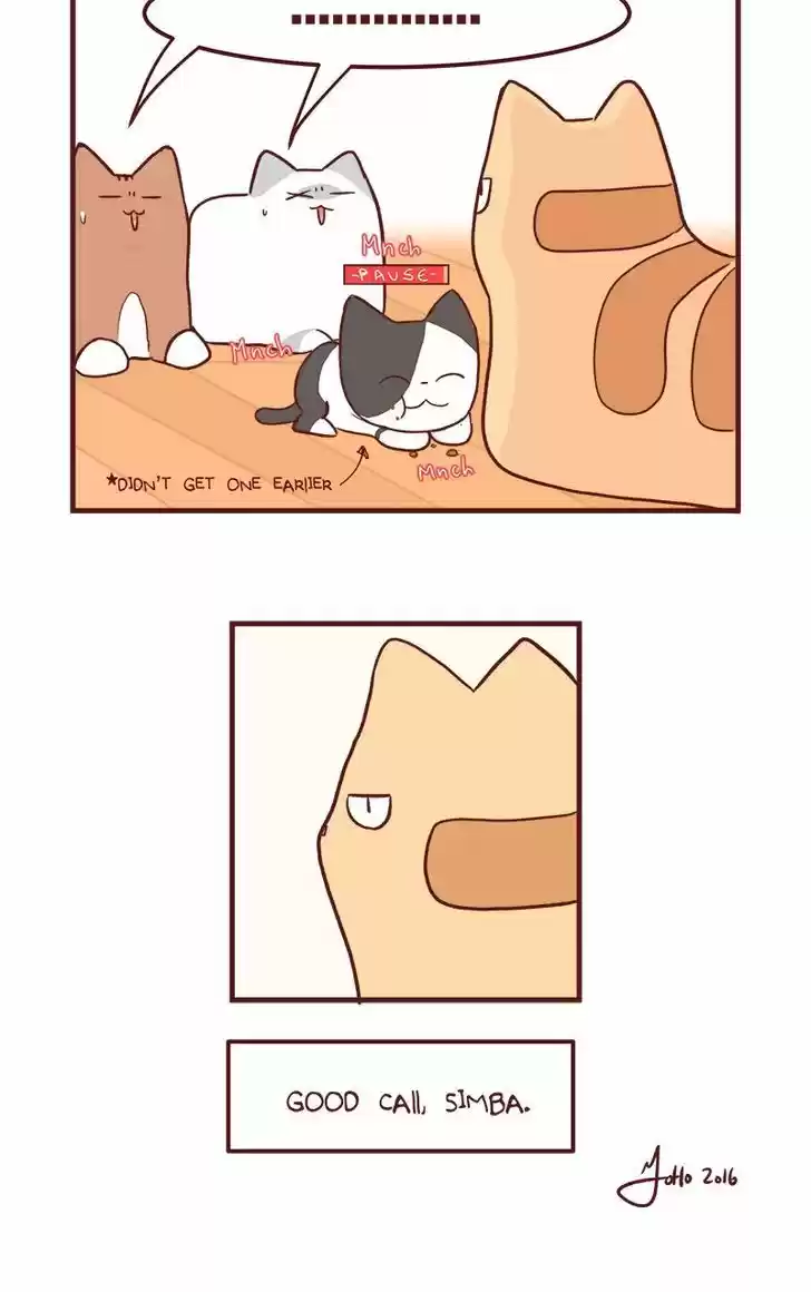 Saphie: The One-Eyed Cat 50