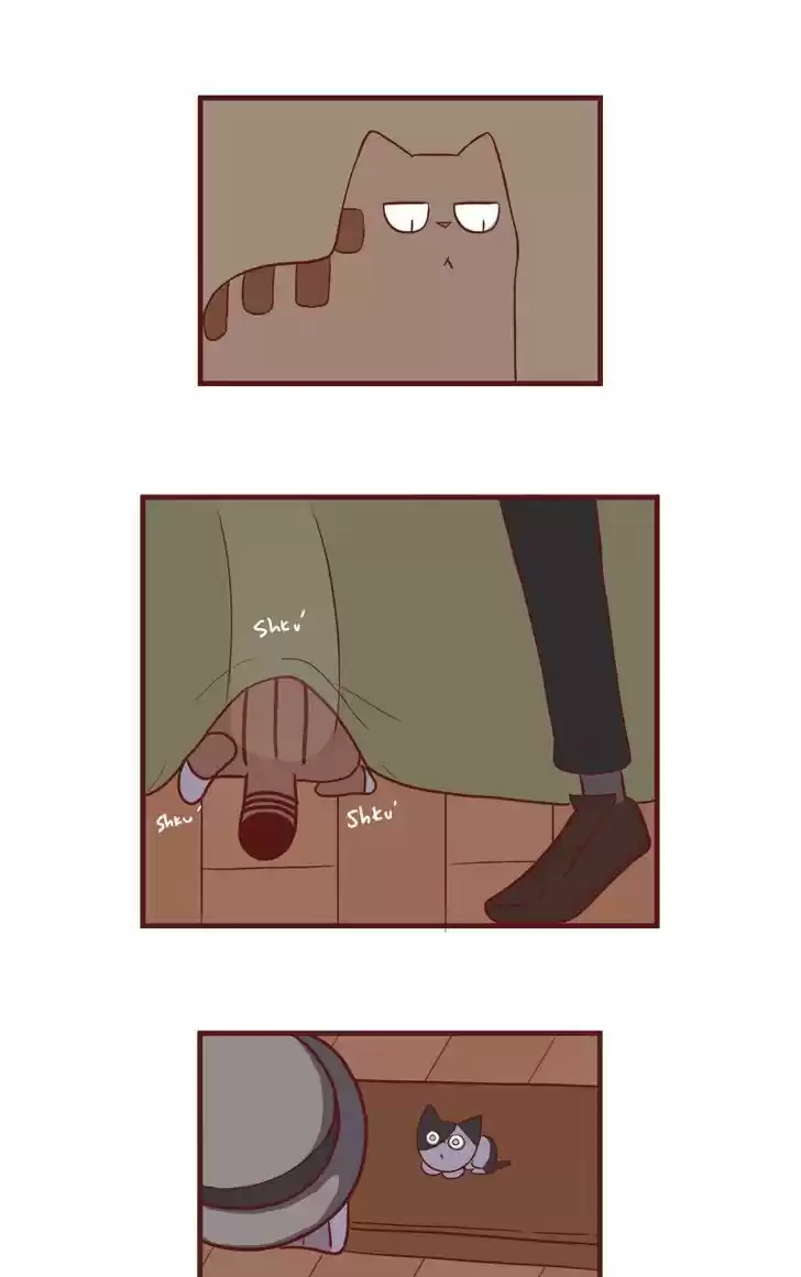 Saphie: The One-Eyed Cat 51