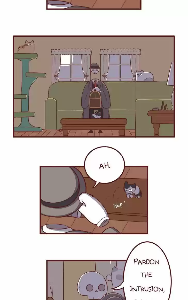 Saphie: The One-Eyed Cat 51