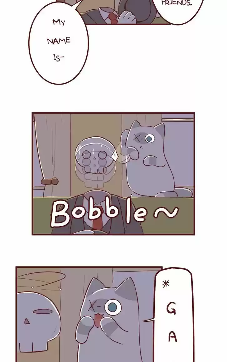 Saphie: The One-Eyed Cat 51