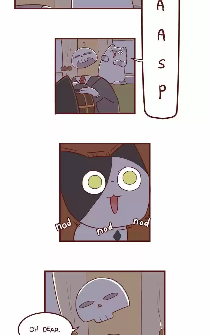 Saphie: The One-Eyed Cat 51