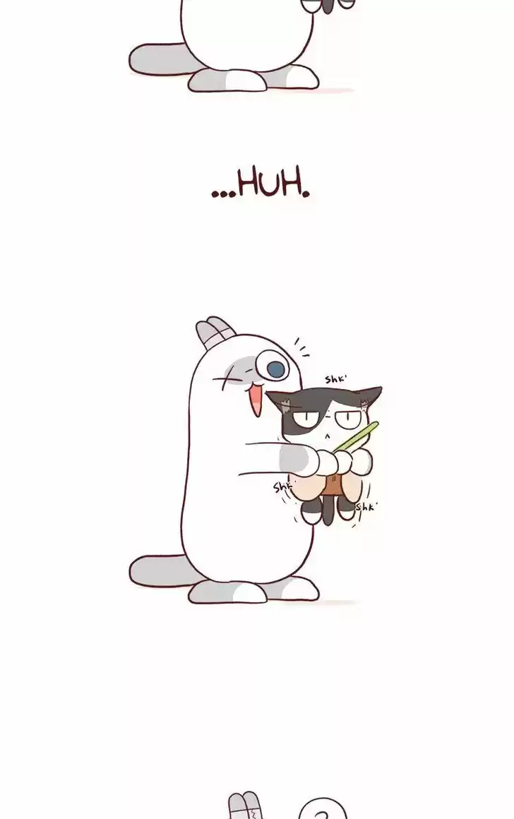 Saphie: The One-Eyed Cat 52