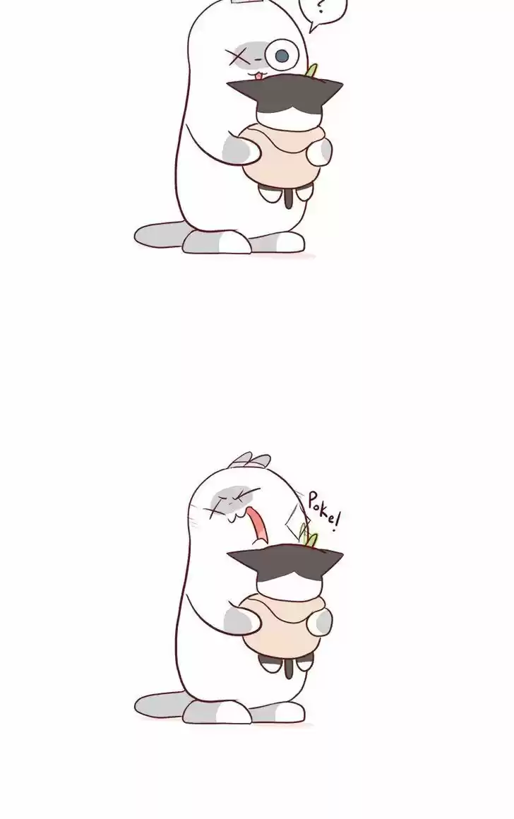 Saphie: The One-Eyed Cat 52