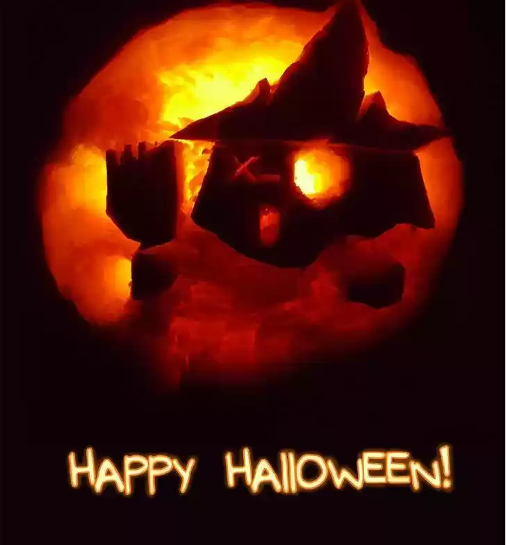 Saphie: The One-Eyed Cat 52