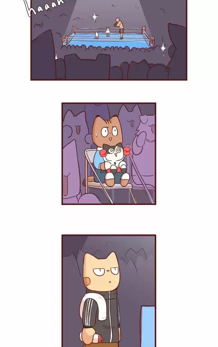 Saphie: The One-Eyed Cat 53