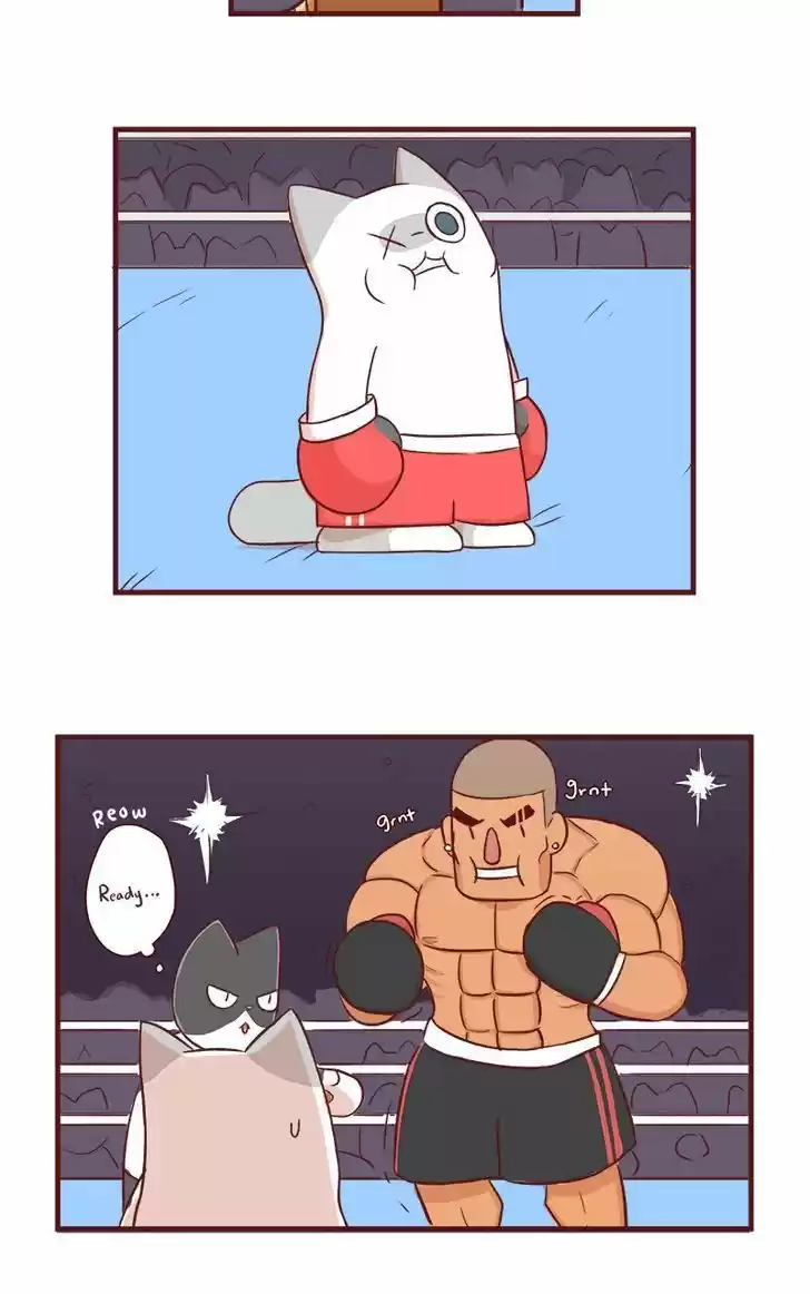 Saphie: The One-Eyed Cat 53