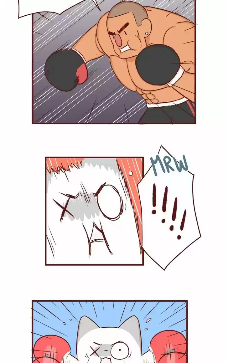 Saphie: The One-Eyed Cat 53