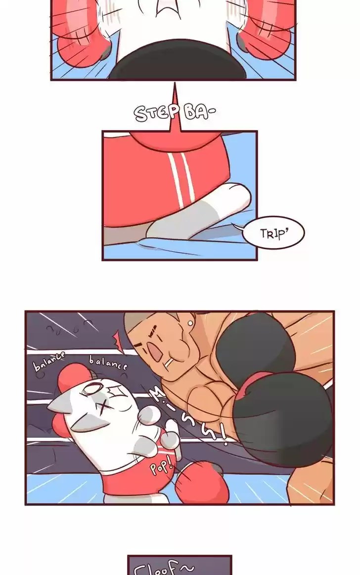 Saphie: The One-Eyed Cat 53