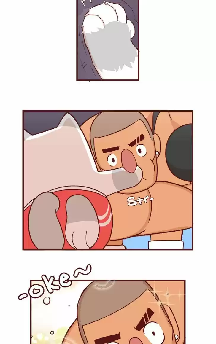 Saphie: The One-Eyed Cat 53