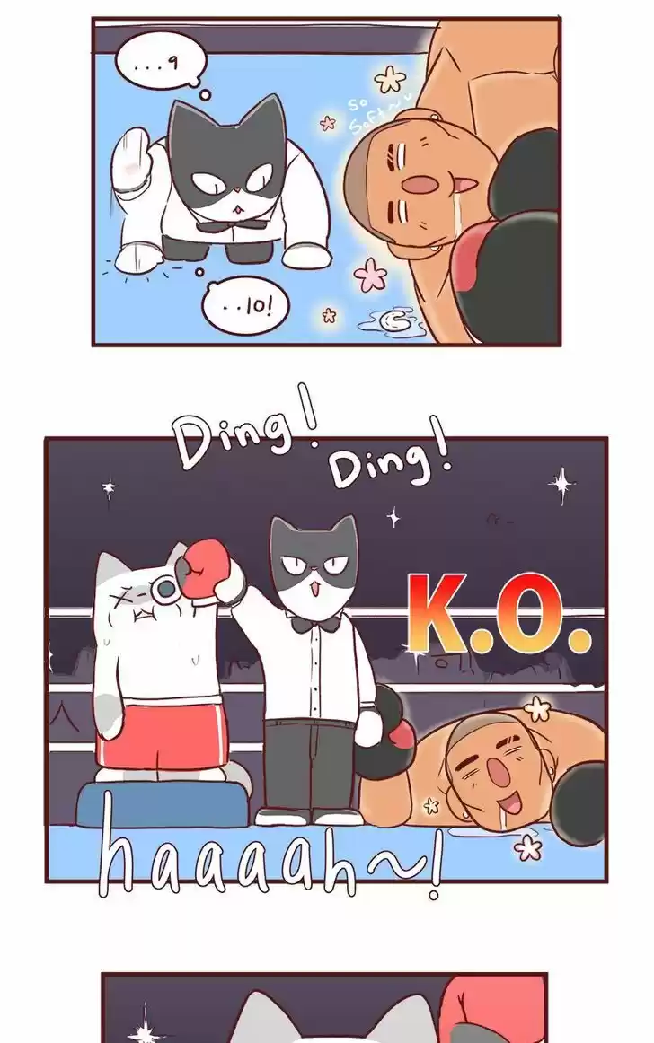 Saphie: The One-Eyed Cat 53