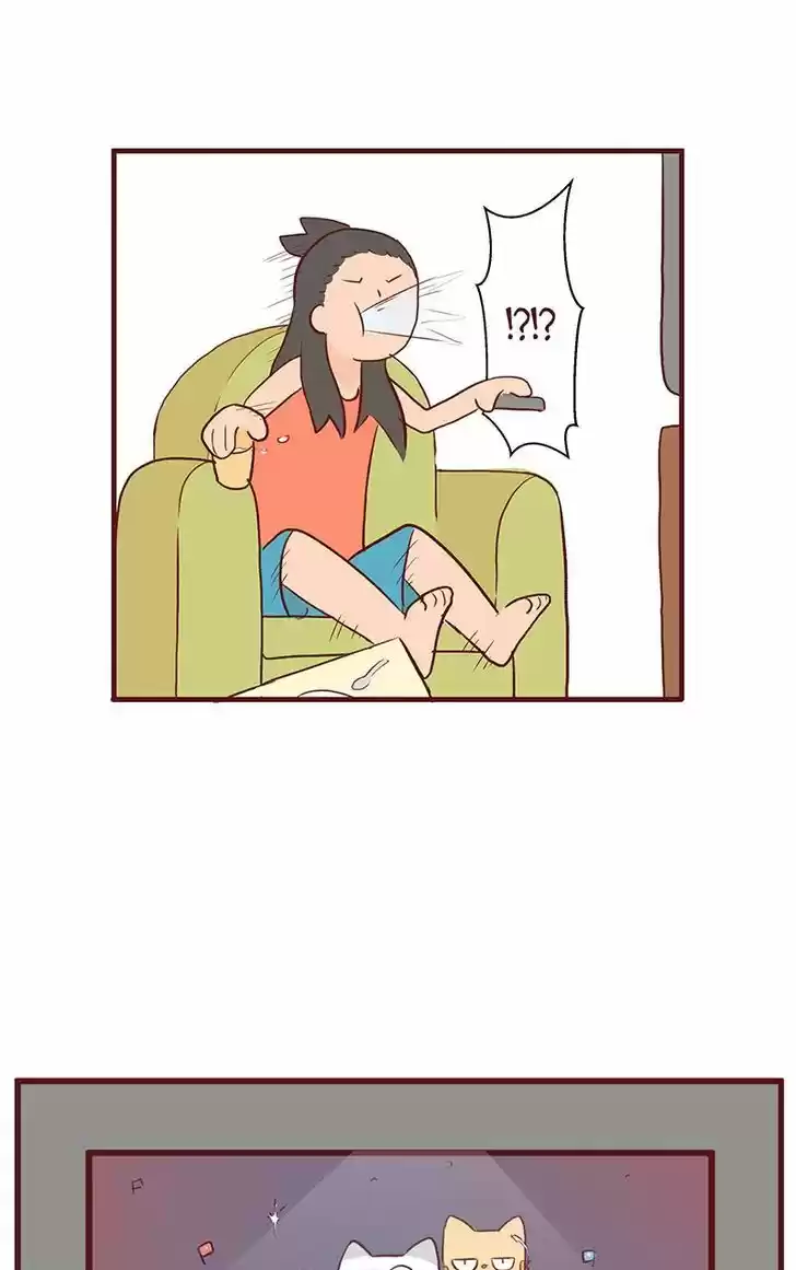 Saphie: The One-Eyed Cat 54