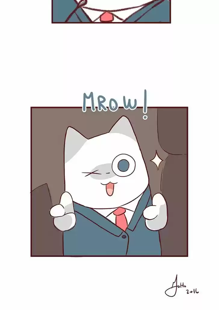 Saphie: The One-Eyed Cat 54