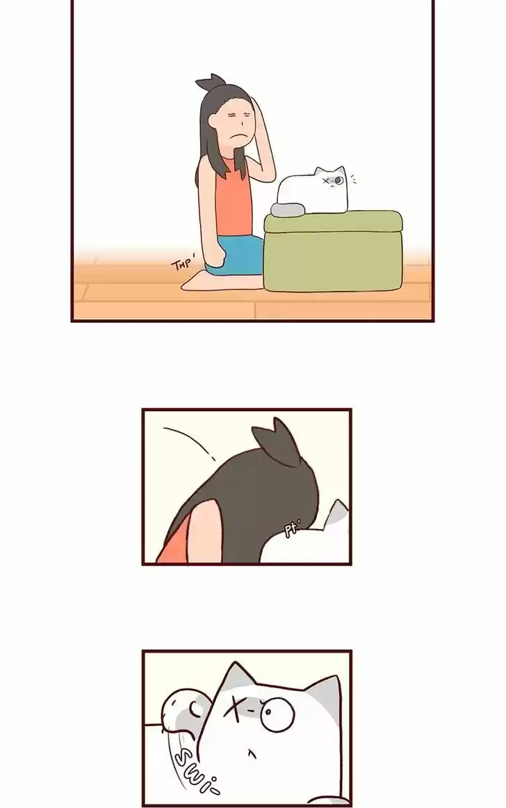 Saphie: The One-Eyed Cat 55