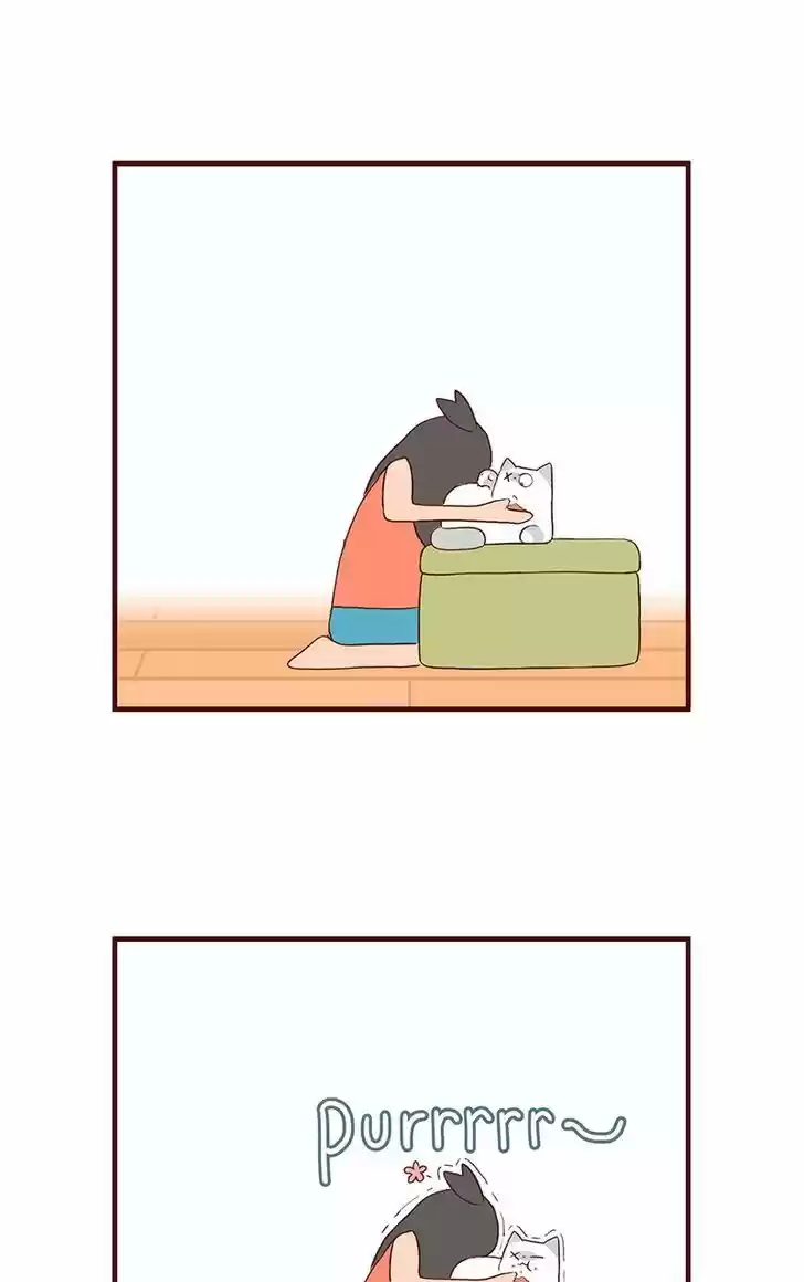 Saphie: The One-Eyed Cat 55