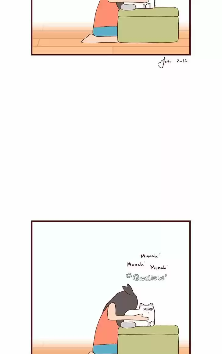 Saphie: The One-Eyed Cat 55