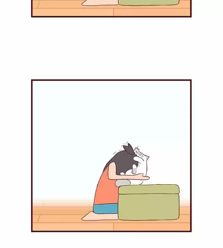 Saphie: The One-Eyed Cat 55