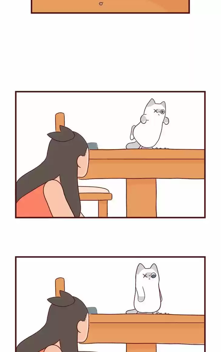 Saphie: The One-Eyed Cat 56