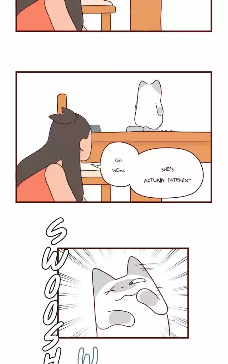 Saphie: The One-Eyed Cat 56