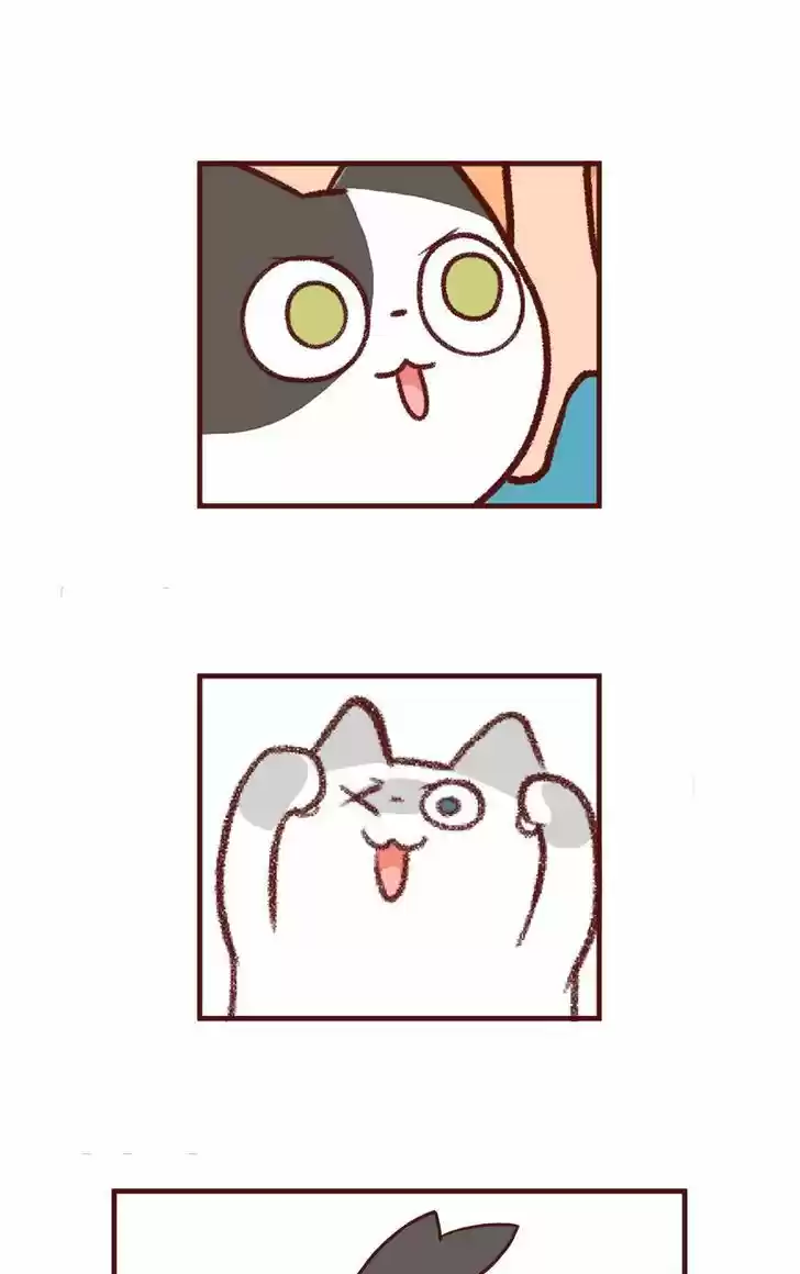 Saphie: The One-Eyed Cat 56