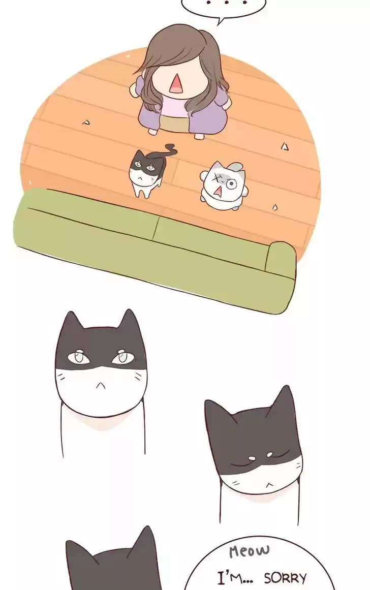 Saphie: The One-Eyed Cat 57