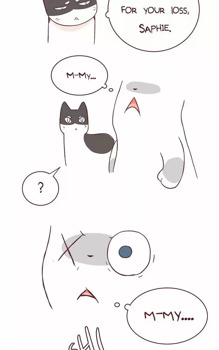 Saphie: The One-Eyed Cat 57