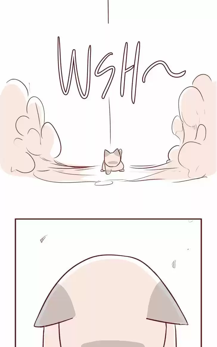 Saphie: The One-Eyed Cat 57