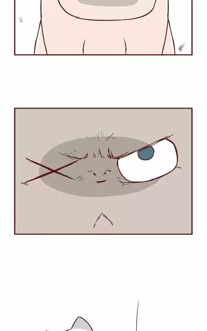 Saphie: The One-Eyed Cat 57