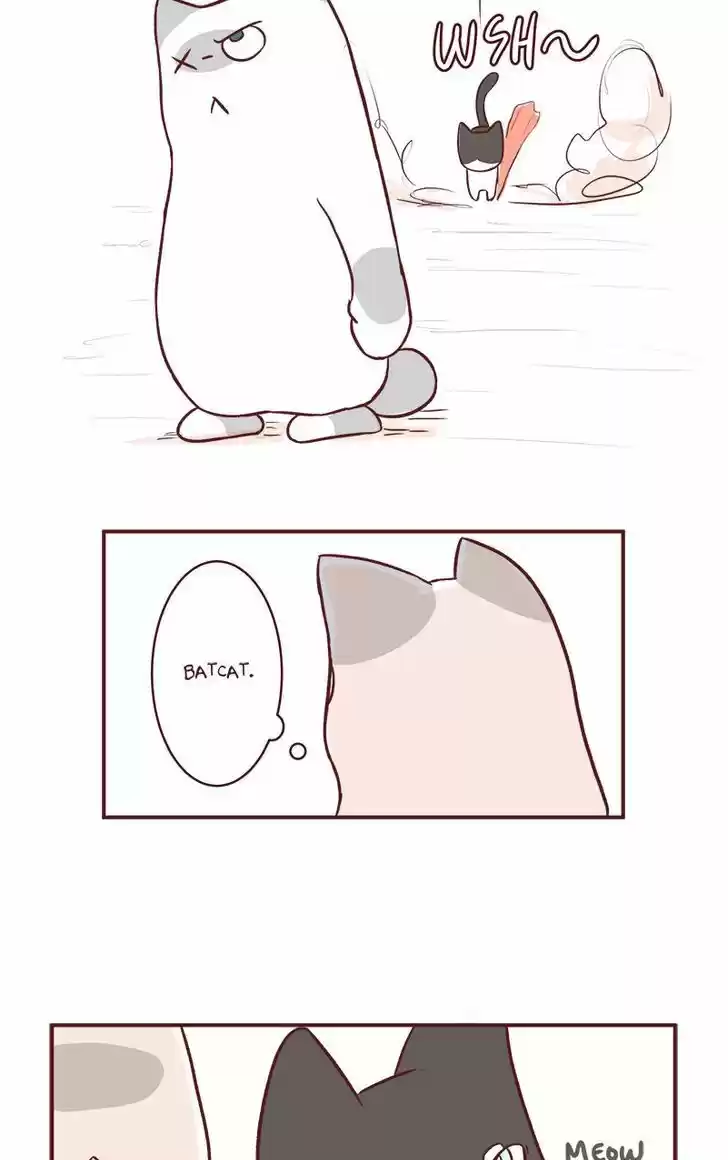 Saphie: The One-Eyed Cat 57