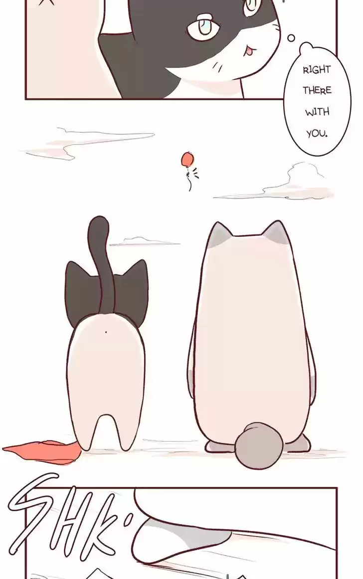 Saphie: The One-Eyed Cat 57