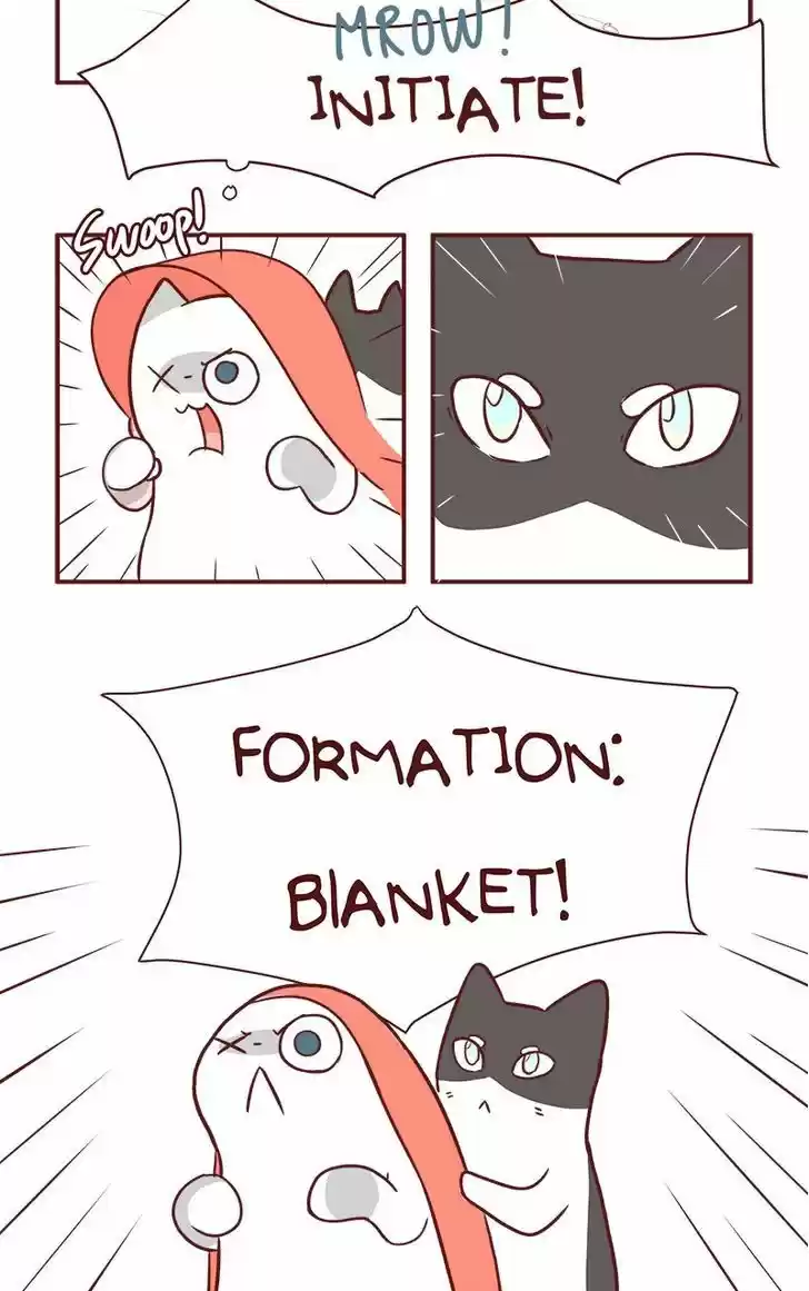 Saphie: The One-Eyed Cat 57