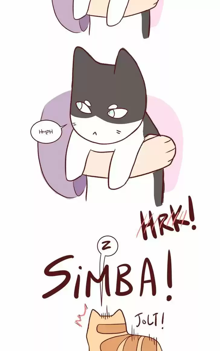 Saphie: The One-Eyed Cat 57