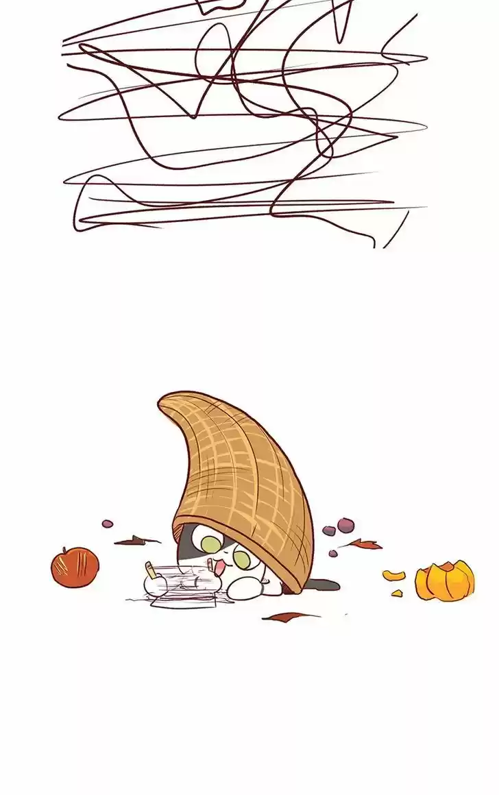 Saphie: The One-Eyed Cat 58