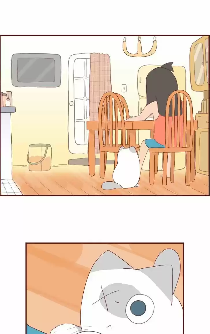 Saphie: The One-Eyed Cat 6