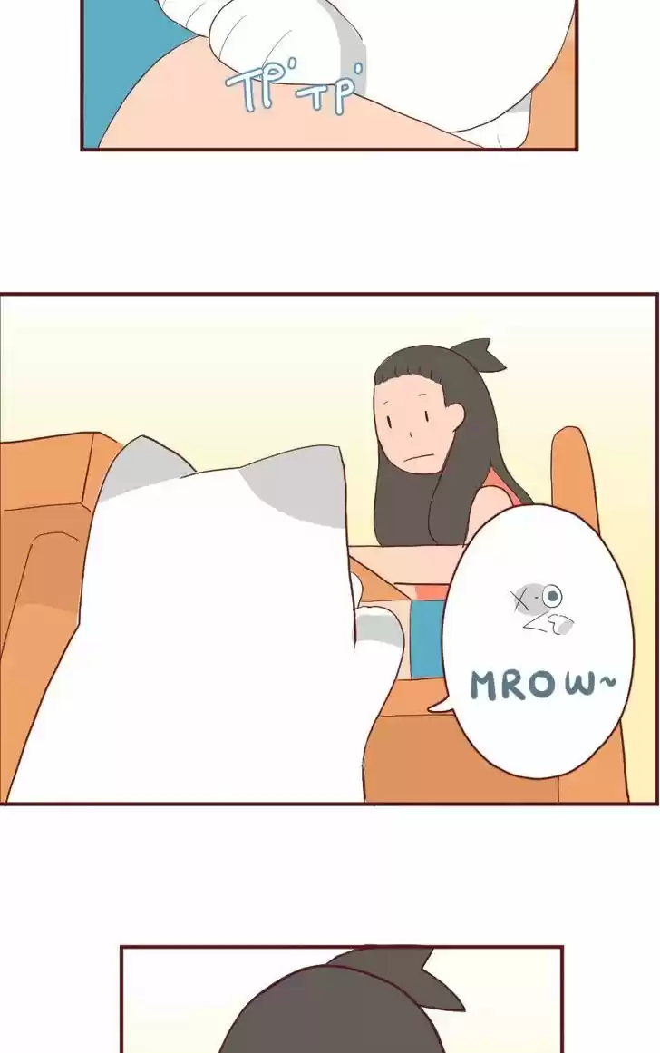 Saphie: The One-Eyed Cat 6