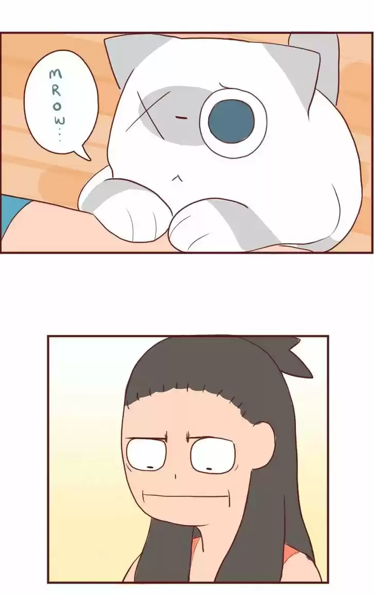 Saphie: The One-Eyed Cat 6