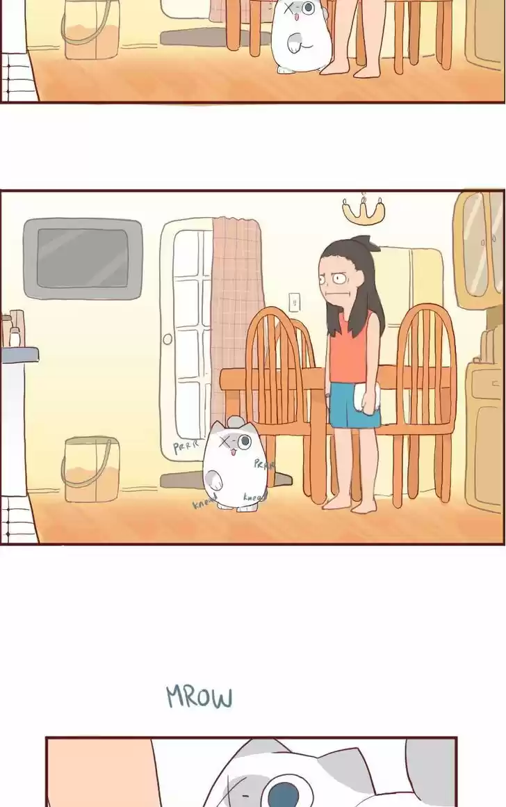 Saphie: The One-Eyed Cat 6