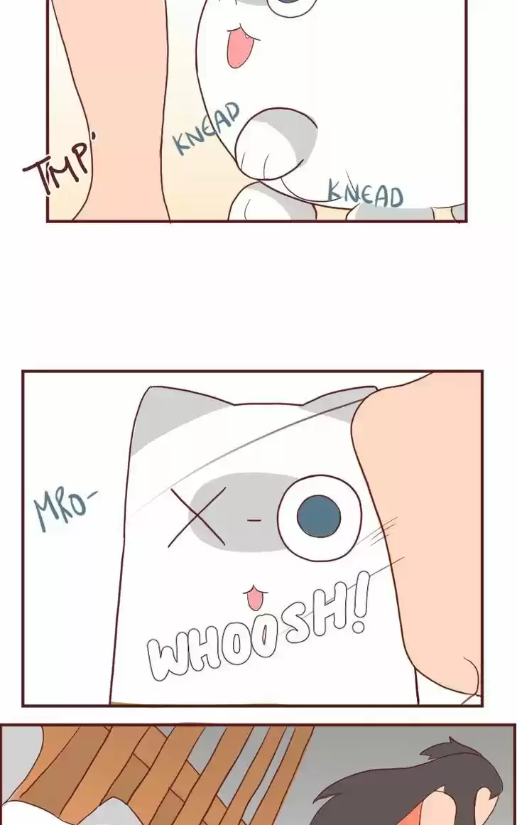 Saphie: The One-Eyed Cat 6