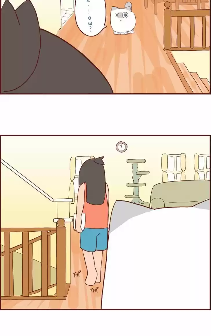 Saphie: The One-Eyed Cat 6