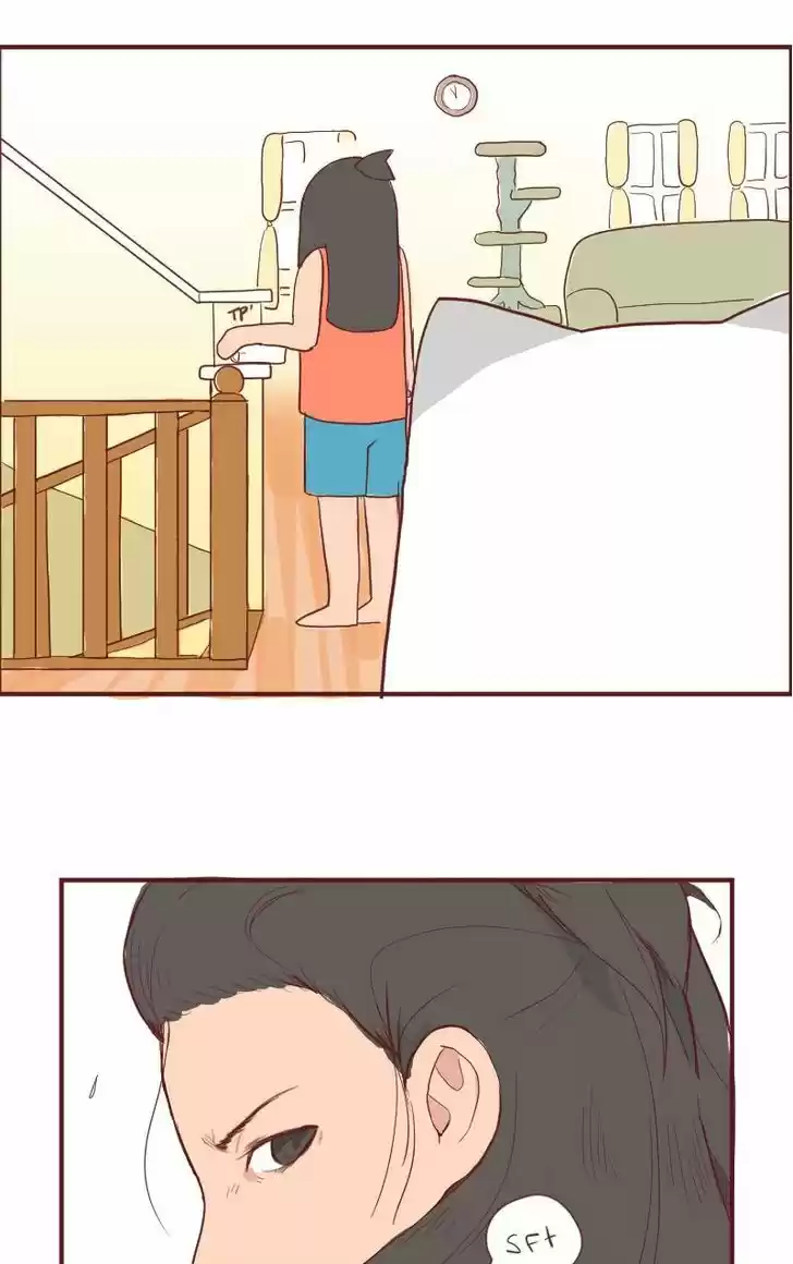 Saphie: The One-Eyed Cat 6