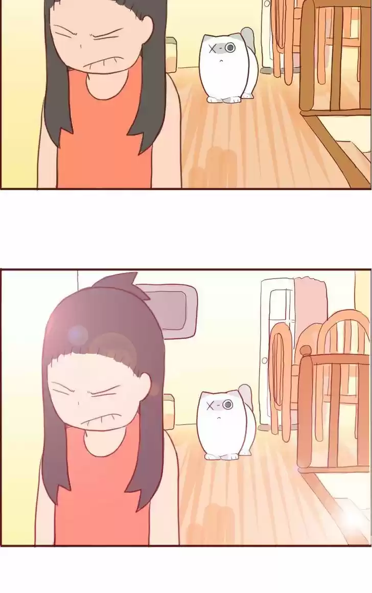 Saphie: The One-Eyed Cat 6