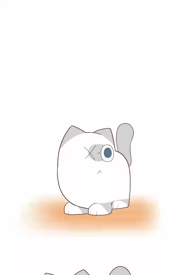 Saphie: The One-Eyed Cat 6