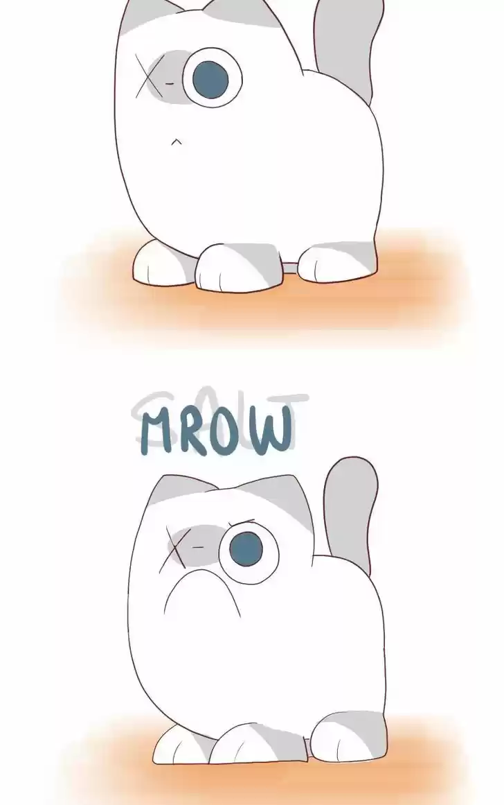 Saphie: The One-Eyed Cat 6