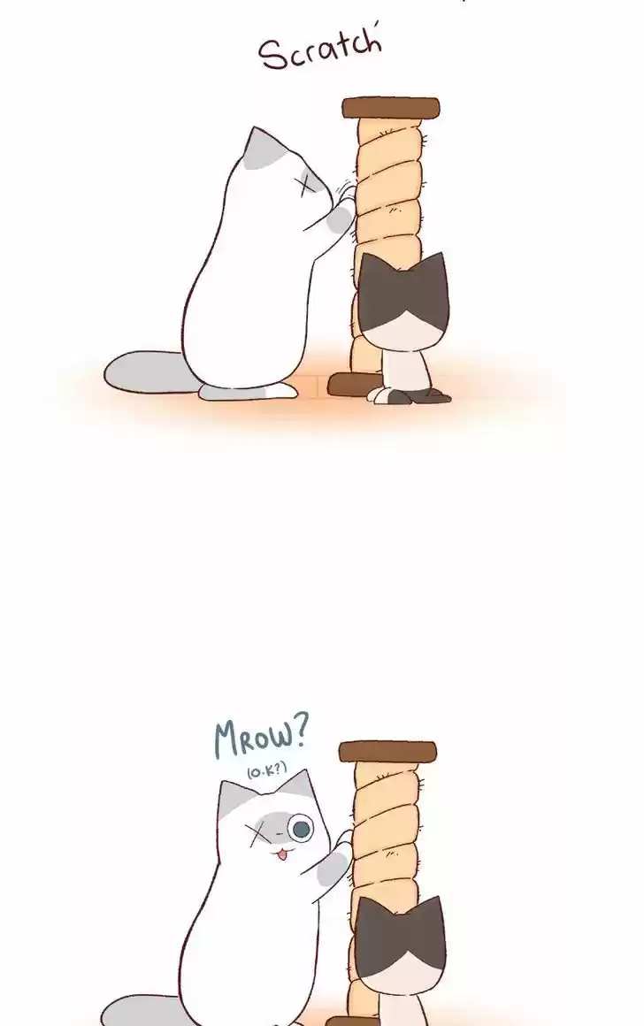 Saphie: The One-Eyed Cat 61