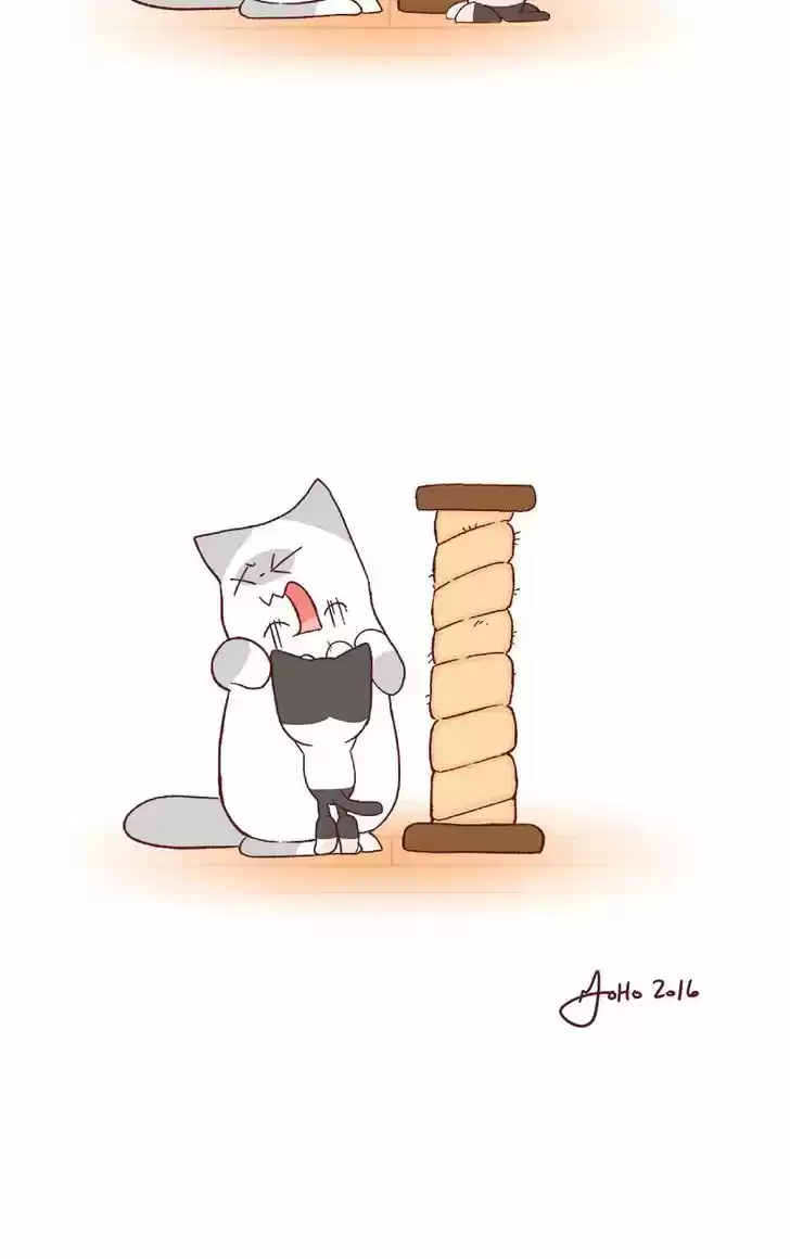 Saphie: The One-Eyed Cat 61