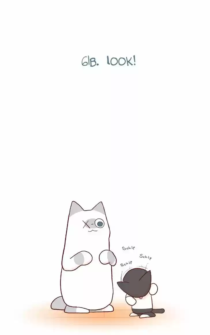 Saphie: The One-Eyed Cat 61